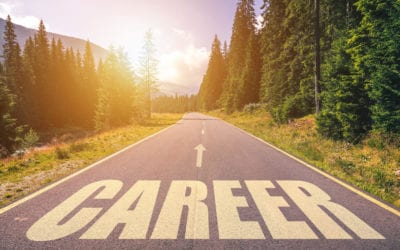 Consultant Daniel Zacarias: ”Treat your career as you would treat your product!”